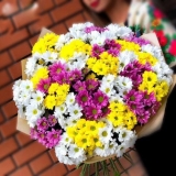 Krizanteme su dale korijenje u vazi: kako posaditi reznice